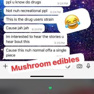 Mushroom-Edibles-Review.jpeg