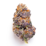 Purple Alien
