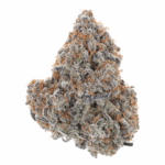 Dosidos 33 (exotics)