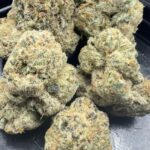 Granimal (exotics)