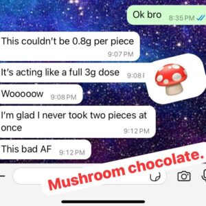 Mushroom-Chocolate-Review.jpeg
