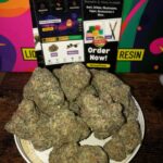 Snow Cap junky (exotics) A++