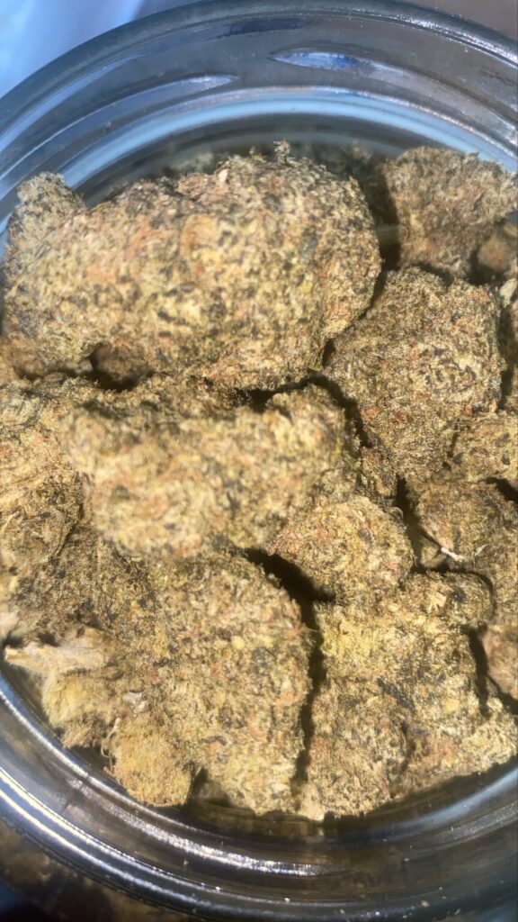 Space Monkey (Exotics) - Kush Factory Jamaica - Ocho Rios