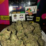 White dawg fire OG (exotics) A++