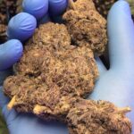 Death ops (exotics) A++