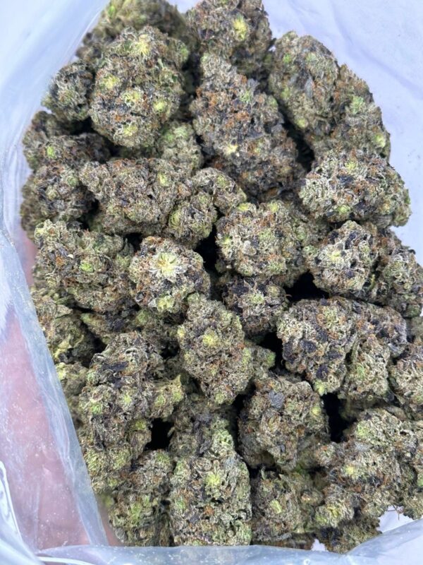 Blu Gas Face  (Exotics)