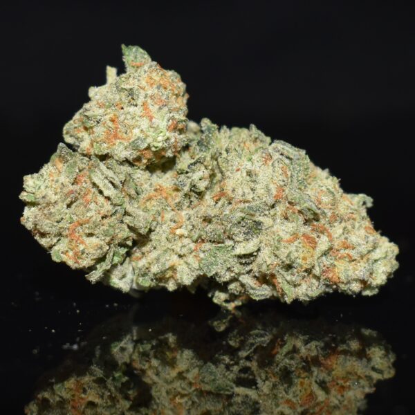 Miracle Alien (indoor)