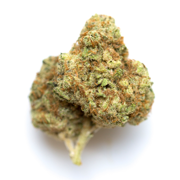 Water Melon 🍉 OG (greenhouse) - Image 2