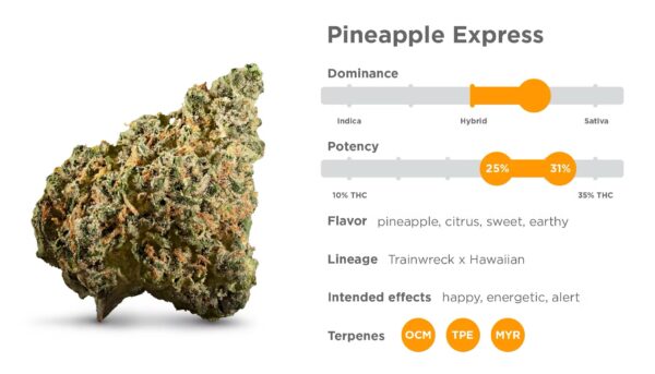 Pineapple 🍍 express (greenhouse)