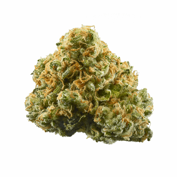 Pineapple 🍍 express (greenhouse) - Image 2