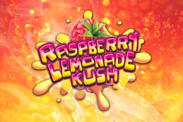 Raspberry lemonade (greenhouse)