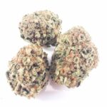 Red cherry pie (greenhouse)